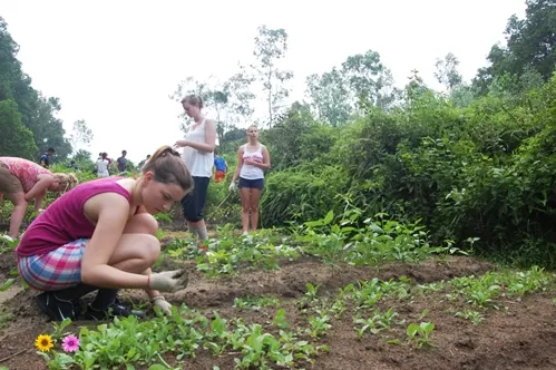 2-Day Thai Hai Eco-Village Cycling Tour
